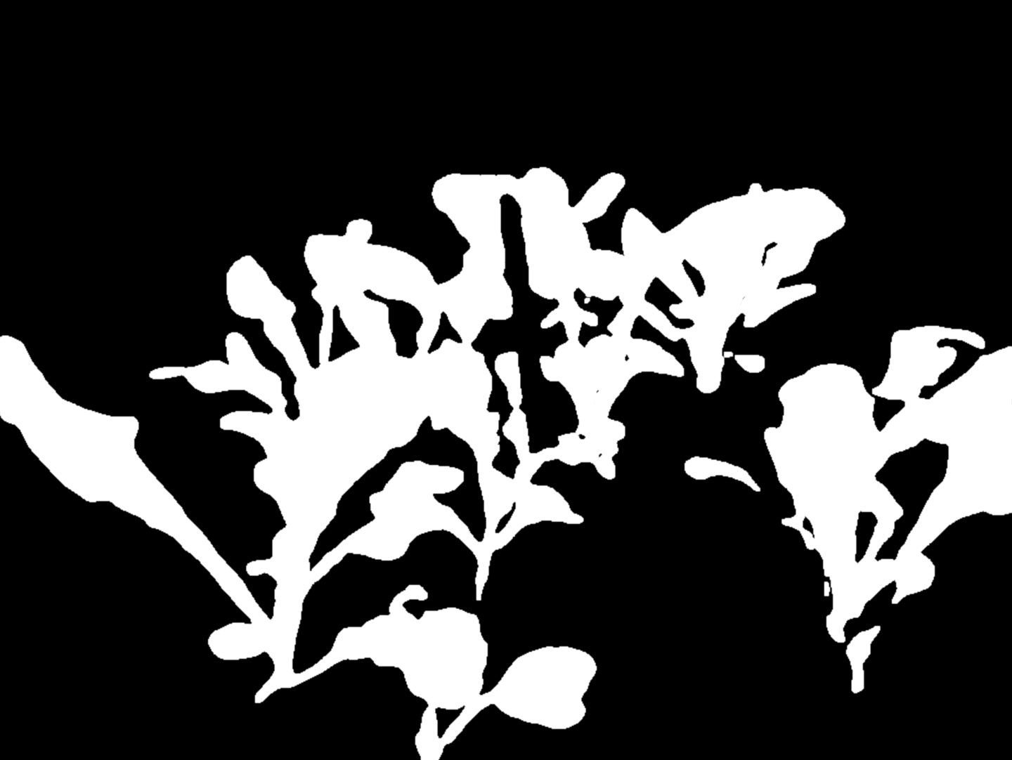 UNet foliage segmentation mask overlaid on the raw capture, showing plant pixels in white and all non-plant regions masked to black.